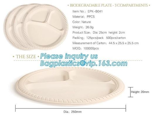 Eco Friendly Biodegradable Sugarcane Bagasse Plates Disposable,Sugarcane Bagasse Pulp Disposable Biodegradable Plate For