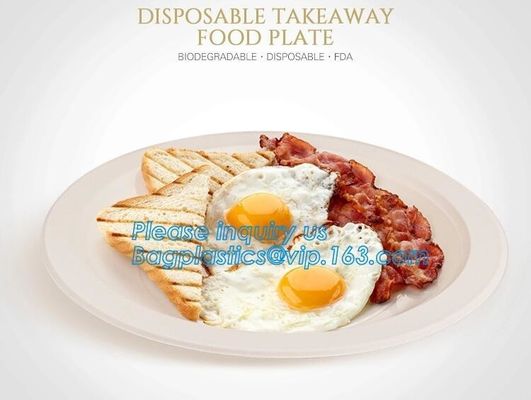 custom printed party plates disposable sugarcane bagasse plate Biodegradable Bamboo disposable paper plates bagease pack