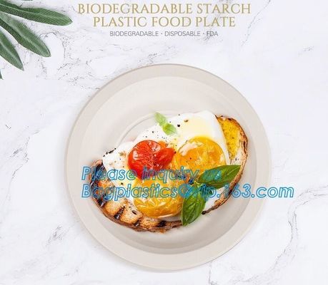 custom printed party plates disposable sugarcane bagasse plate Biodegradable Bamboo disposable paper plates bagease pack