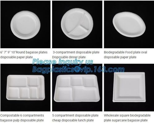 biodegradable corn starch fast food container,Biodegradable Box Corn Starch Food Container Manufactures bagease package