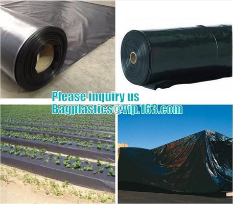 Pe plastic film construction plastic sheeting, 2 Mil Transparent White Plastic Poly Sheeting, Automotive Plastic Sheetin