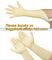 cheap medical latex gloves,New Products Medical Disposable Powdered Latex Examination Gloves,Examination Disposable Work