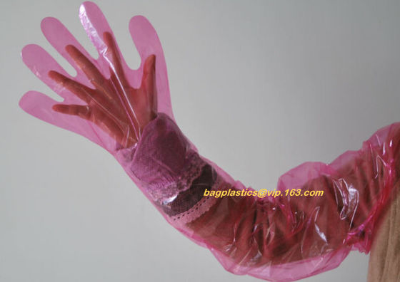 cornstarch made biodegradable compostable disposable plastic pe food handliDisposable Transparent HDPE PE Plastic Gloves