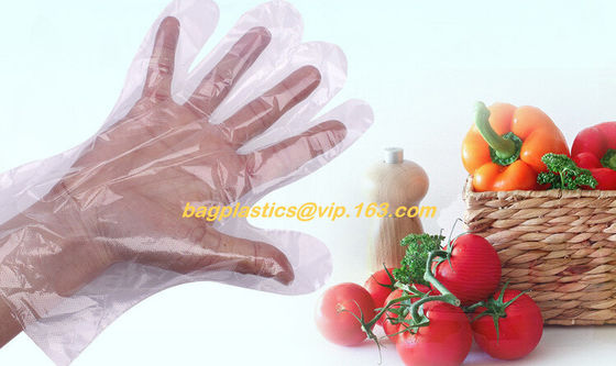 biodegradable compostable disposable plastic pe food handlng gloves, pac,iDisposable Transparent HDPE PE Plastic Gloves