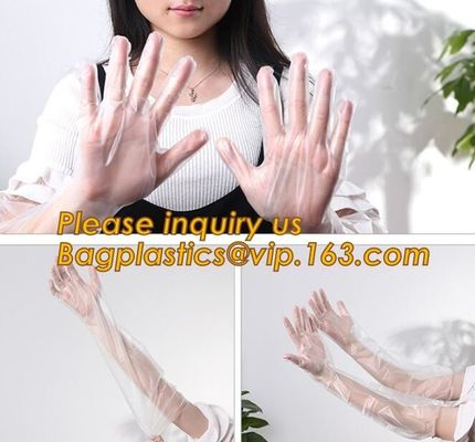 Transparent clear pe gloves disposable food bbq gloves HDPE factory price,Supplier for one time use plastic PE gloves