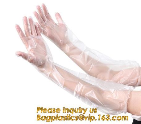 Biodegradable PE gloves Medical PE gloves disposable PE glove,Eco Friendly Disposable Transparent Home Use Pe Gloves