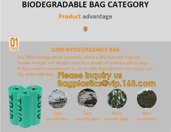 Biobag Compostable Mailer 100% Biodegradable Postage Bags Mailing Courier Bags Biodegradable Poly Mailer/ Express Heavy