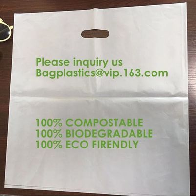 Biodegradable compostable plastic courier shipping envelope custom 10x13 matte black poly mailers bag bagplastics bageas