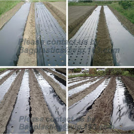 COEX LDPE Mulching film, pe film, horticultural mulch film, garden perforated ground film