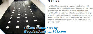 agricultural film, pe film, horticultural mulch film, garden perforated ground film,Mulching films, garden film, pe film