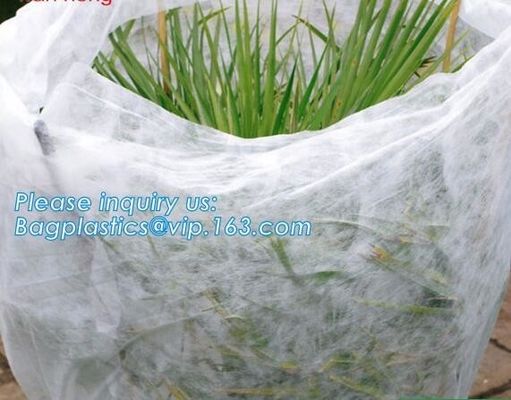 high quality PP nonwoven fabric agriculture Cover Non Woven Fabric agriculture fabric plant cover fruit bags, bagease