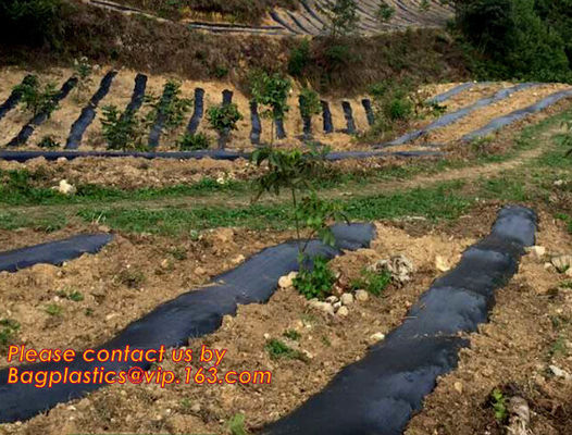 weed barrier for agriculture, weed killer fabric, agricultural anti weed mat, dust control weed mat