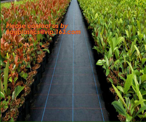 Garden Agricultural Weed Mat,Plastic Ground Cover, Weed Control Mat, pp woven grass mat, black woven pp fabric