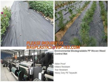 environmental biodegradable pp woven weed control mat, heavy dury pe tarpaulin,Woven Weed Barrier/Weed Control Fabric