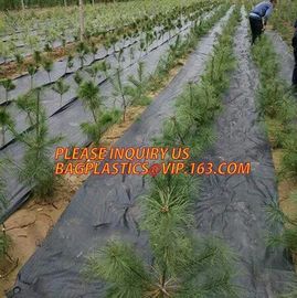 environmental biodegradable pp woven weed control mat, heavy dury pe tarpaulin,Woven Weed Barrier/Weed Control Fabric