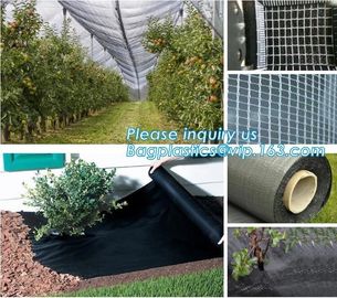 mesh bag,insect net,anti hail net,weed mat,Polyester fiberglass anti insect net for insect screen window,anti insect mes