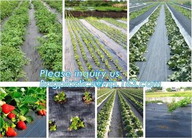 green color Plastic Ground Cover Mats mulch weed control fabric mat,Weed Barrier Around Fruit Trees PP Woven Weed Mat fo