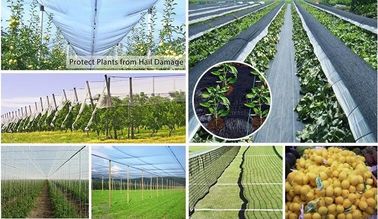 agriculture in 40g with customizable sizes,100% virgin hdpe anti hail net, Hail Protection Net for Agriculture, Made in