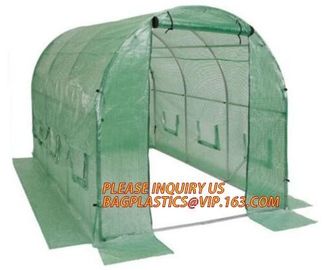 Economic Small Windscreen Green Garden House,vegetable greenhouse hoop green house,small Garden Greenhouse for Indoor pl