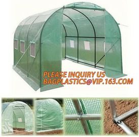 Economic Small Windscreen Green Garden House,vegetable greenhouse hoop green house,small Garden Greenhouse for Indoor pl