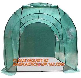 Economic Small Windscreen Green Garden House,vegetable greenhouse hoop green house,small Garden Greenhouse for Indoor pl