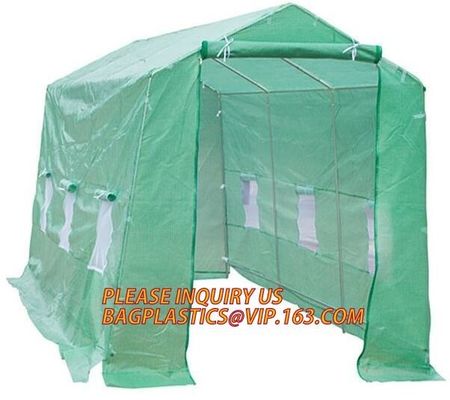 polycarbonate plastic sheet agricultural mini garden green house,plastic walk in dome garden green house, SUPPLIES, PAC