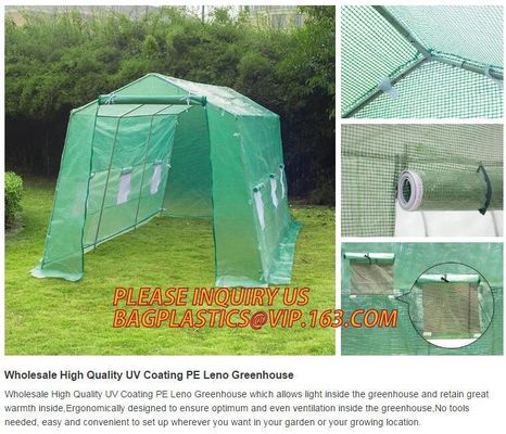 polycarbonate plastic sheet agricultural mini garden green house,plastic walk in dome garden green house, SUPPLIES, PAC