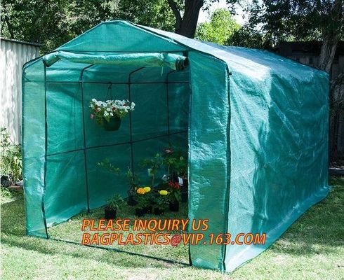 polycarbonate plastic sheet agricultural mini garden green house,plastic walk in dome garden green house, SUPPLIES, PAC