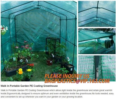 polycarbonate plastic sheet agricultural mini garden green house,plastic walk in dome garden green house, SUPPLIES, PAC