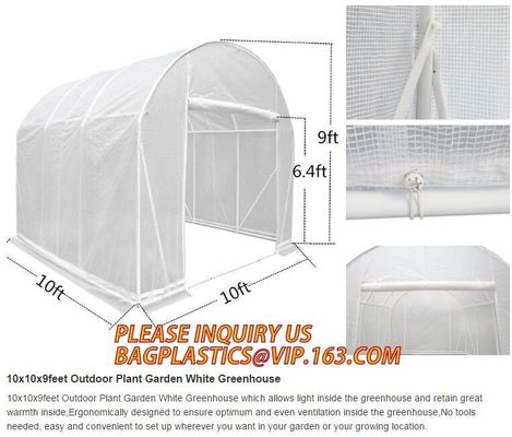 Easy install greenhouse tomato single-span Plastic Film Green House,Low cost garden green houses for plating, PACKAGES