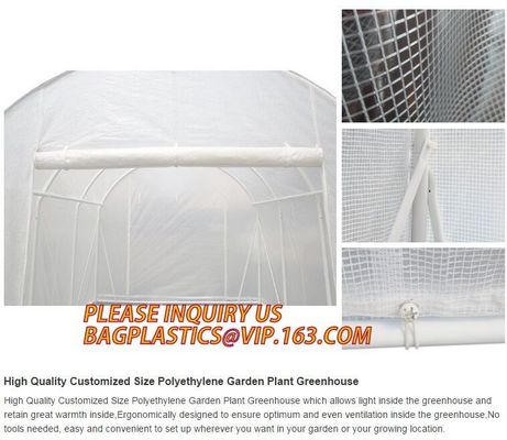 Easy install greenhouse tomato single-span Plastic Film Green House,Low cost garden green houses for plating, PACKAGES