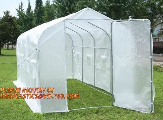 Easy install greenhouse tomato single-span Plastic Film Green House,Low cost garden green houses for plating, PACKAGES