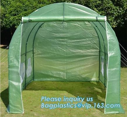 Excellent Material Agriculture Greenhouse/Low Cost Green House,High quality outdoor garden mini portable green house