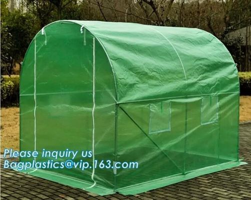 Excellent Material Agriculture Greenhouse/Low Cost Green House,High quality outdoor garden mini portable green house