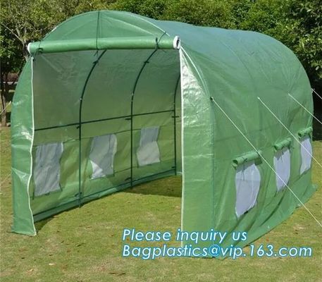 Excellent Material Agriculture Greenhouse/Low Cost Green House,High quality outdoor garden mini portable green house