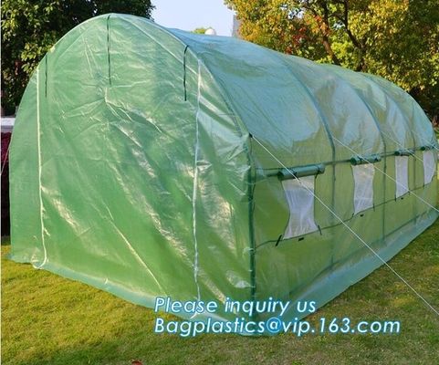 Strawberry Planting Green House,200 micron UV plastic film for agriculture green house,High safety greenhouse for plants