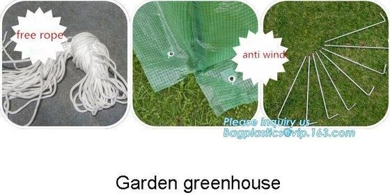 Strawberry Planting Green House,200 micron UV plastic film for agriculture green house,High safety greenhouse for plants