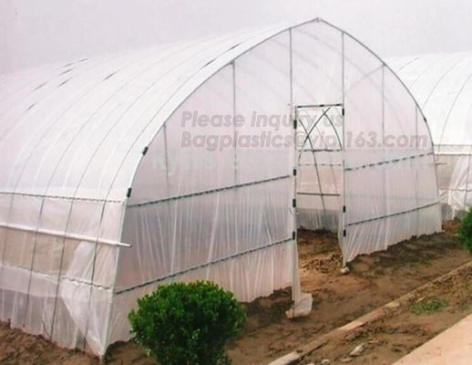 Garden Walk In 4 Shelves&amp; Reinforced PE Cover green houses,Agriculture Farm Commercial Plastic PE Film Multi Spans Green