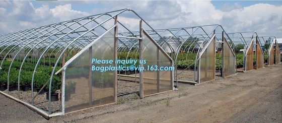 Tunnel Green House with Insect Screen,tunnel green house for crops planting/nursery,warm houses garden green house made