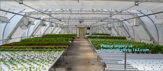 PE protective film customized green house for agriculture anti frost,Venlo Glass Agricultural Green house, SUPPLIES, PAC