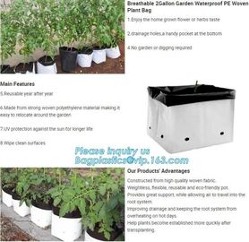 15 GALLON Hole Plastic LDPE Grow Bags For Nursery, Black &amp; White PE Grow Bags for Hydroponic and Horticulture use, BAGEA