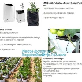 15 GALLON Hole Plastic LDPE Grow Bags For Nursery, Black &amp; White PE Grow Bags for Hydroponic and Horticulture use, BAGEA