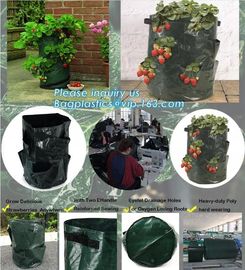 Garden Potato Planter Growing Bags PE Fabric Eco-friendly 7Gallon 10Gallon,potato planter with 7/10 gallon potato plante