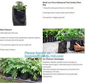 Nine pockets cheap vegetable grow planter bag,china manufacture riptop waterproof nursery bag,planting potato grow bag