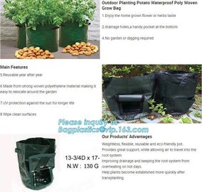 Nine pockets cheap vegetable grow planter bag,china manufacture riptop waterproof nursery bag,planting potato grow bag