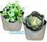Drain Growing Bags-White Color Grow Bags-100%Virgin Raw PE Planter Bags -25Gallon 150Microns Thickness Planting Bag, PAC