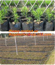 Hydroponic planter outdoor self watering plastic flower bag wholesale,Garden planter recycled plastic felt fabric plante