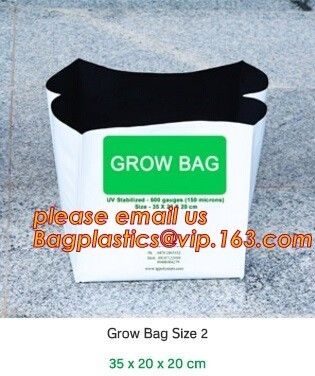 cultivating bags, 100% biodegradable various Wholesale Poly Black Square Garden Plastic Baby Flower Plant Nursery Poly B