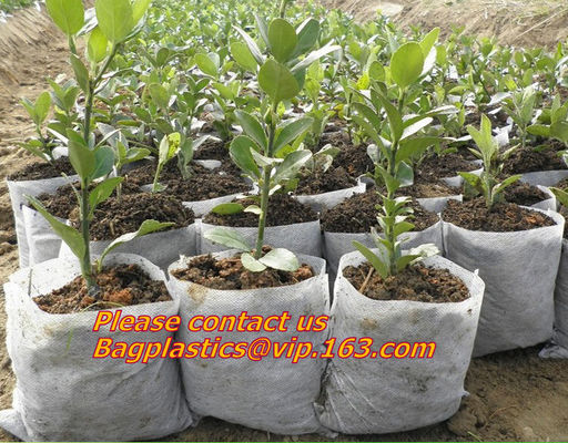 non woven 1gal 2gal 3gal 5gal 7gal 10gal 20gal 30gal White Black PE Plastic Plant Nursery Grow Bag with Drainage Hole