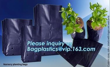 Grow bag, planter bags, nursery bags, agro planting bag, seedling bag, spling bag, custom size, color, bales with logoes